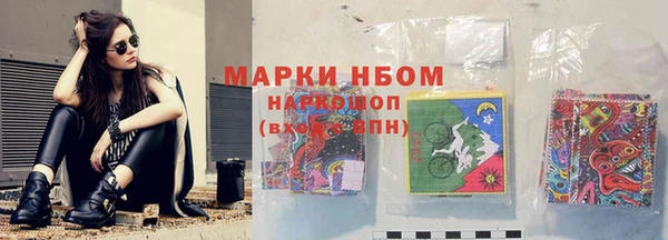 прущие грибы Мегион