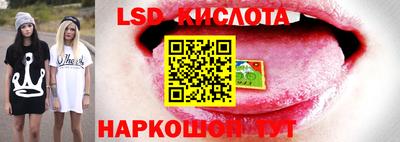 прущие грибы Гусиноозёрск