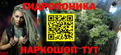 стафф Гусев