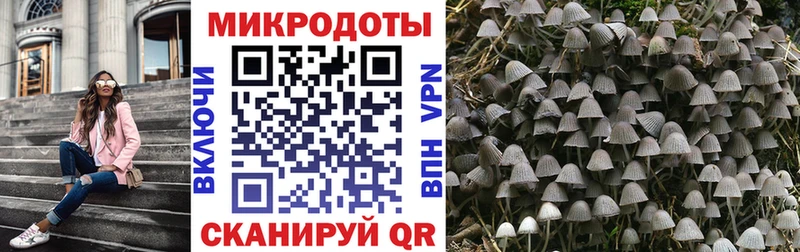 Псилоцибиновые грибы GOLDEN TEACHER  Нальчик 