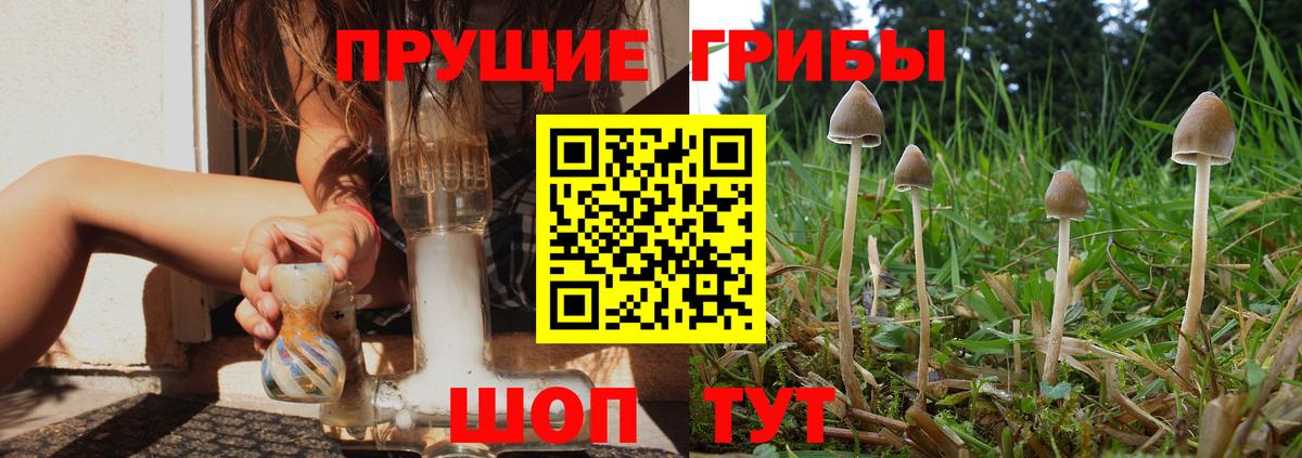 Галлюциногенные грибы Magic Shrooms  Вход с VPN  Псилоцибиновые грибы мицелий  Нальчик 