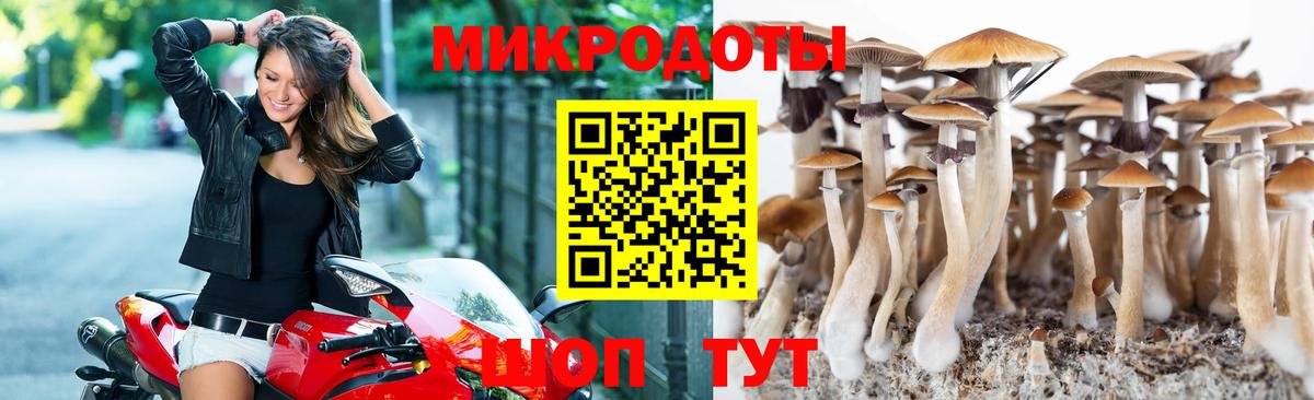 Кокаин  Канабис  Нальчик  Мефедрон   Канабис  Вход с VPN  ЭКСТАЗИ 
